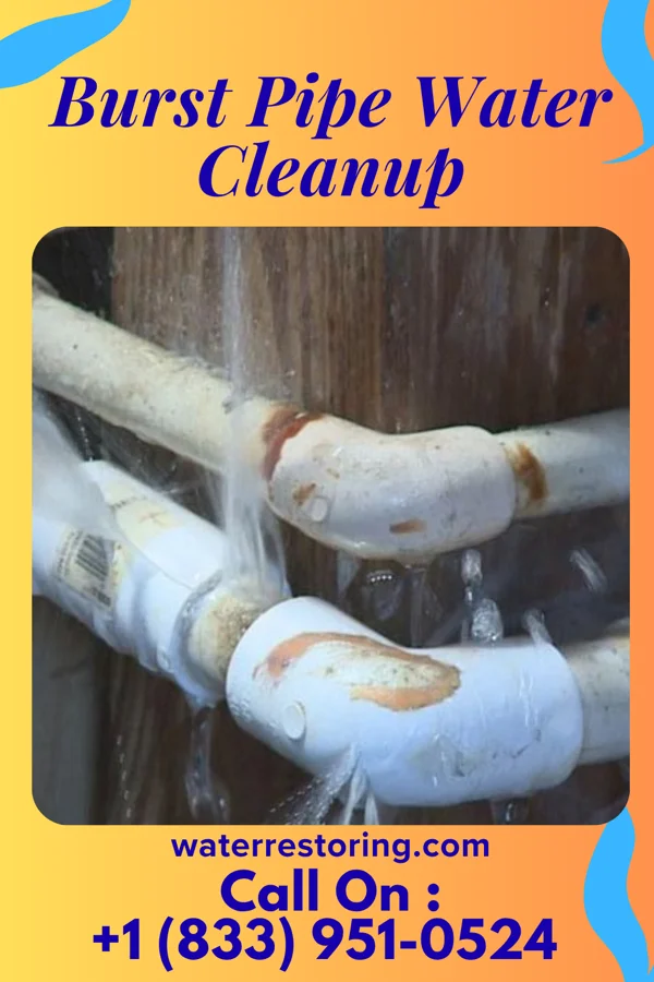 Burst Pipe Water Cleanup in Iowa Falls, IA