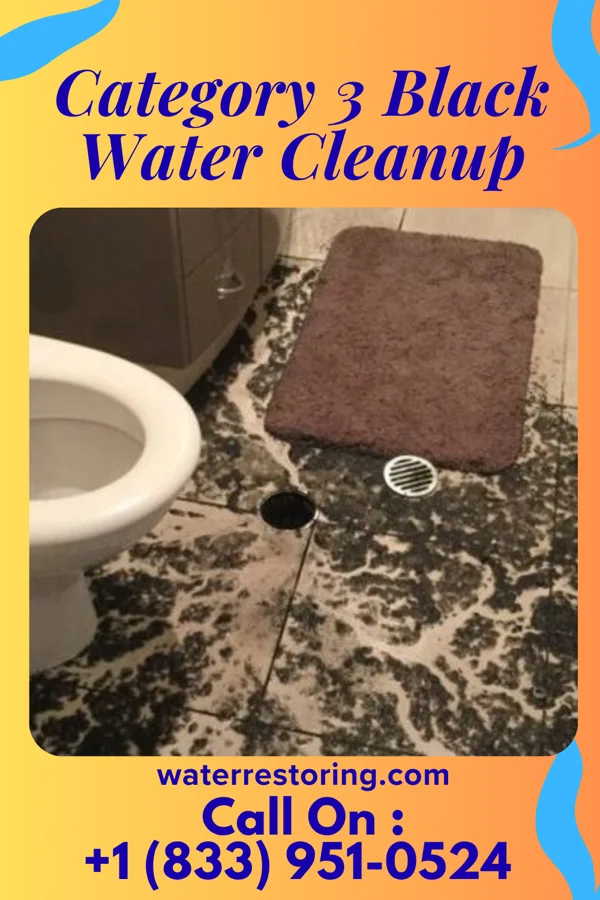 Category 3 Black Water Cleanup in Iowa Falls, IA