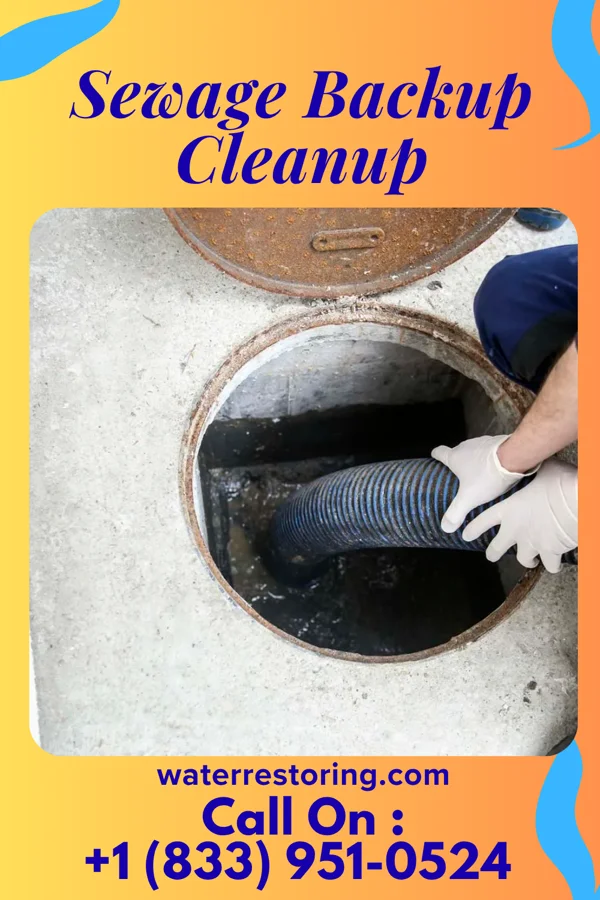 Sewage Backup Cleanup in Iowa Falls, IA