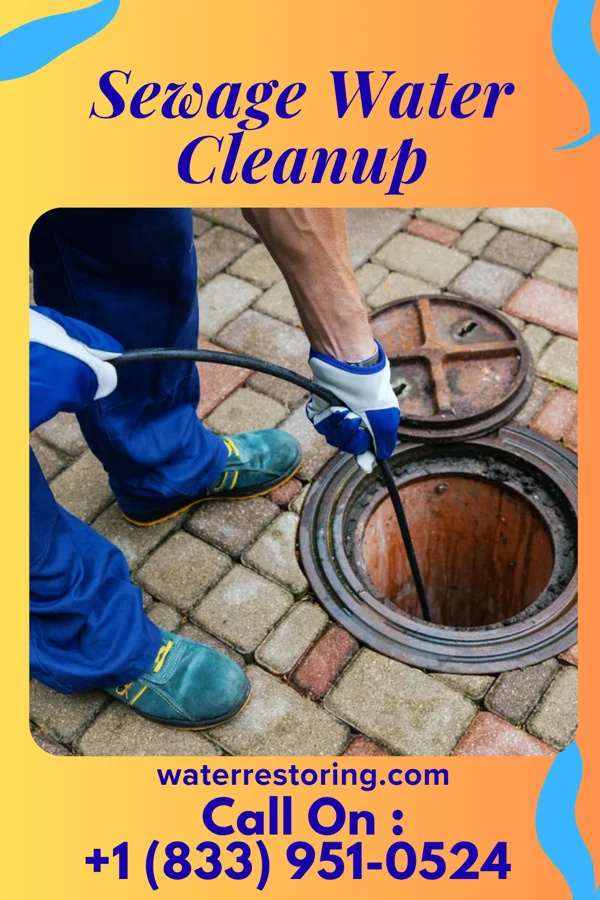 Sewage Water Cleanup in Iowa Falls, IA