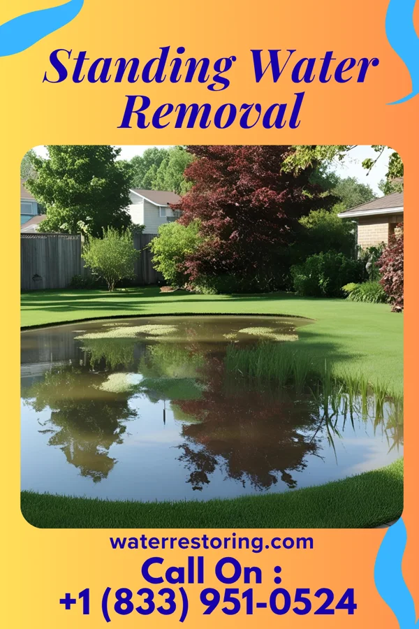 Standing Water Removal in Iowa Falls, IA